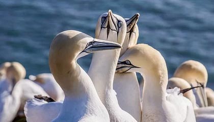 开云体育登入-国家队战术执行缺乏细节把控，国家队战术执行缺乏细节把控怎么办