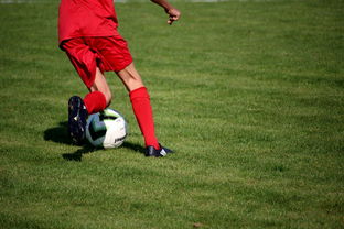 开运app入口-意甲裁判语义分析系统在比赛判罚中的应用研究，意甲第三轮裁判