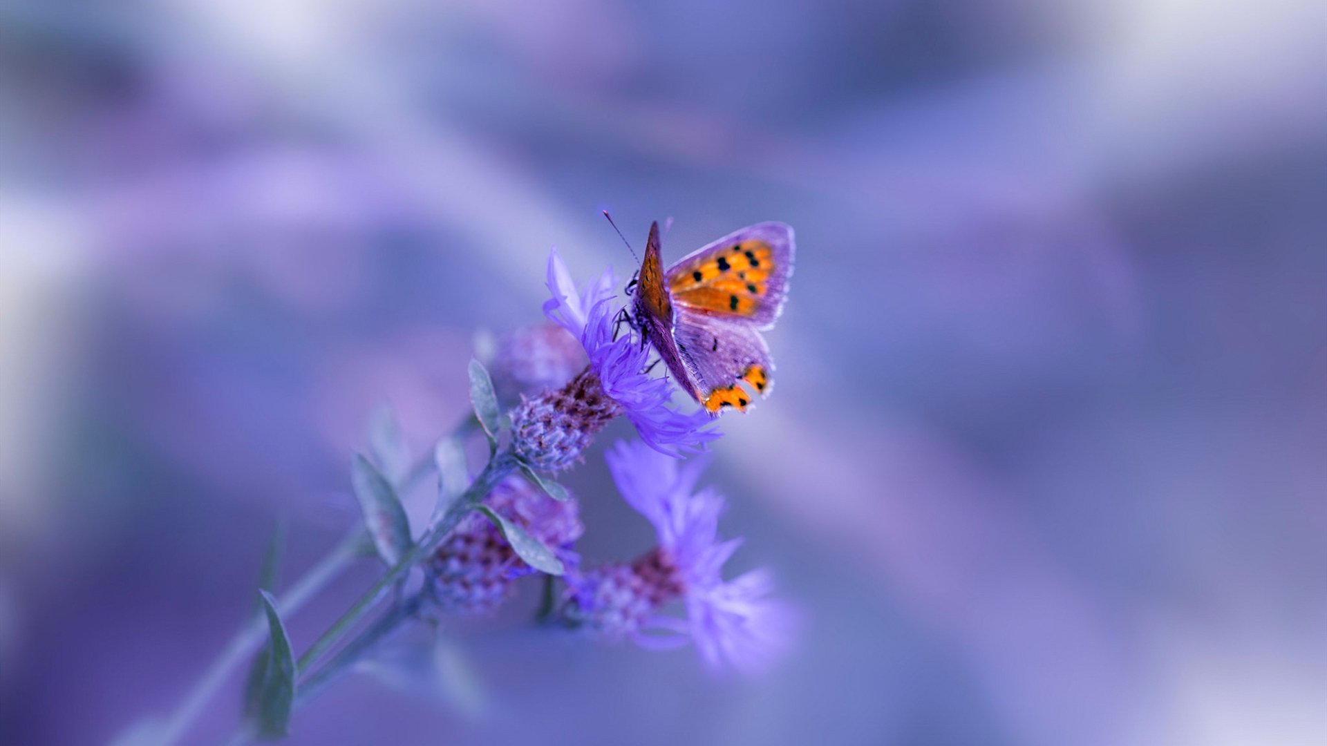 开云电竞服务-新闻中心开展员工关怀活动，员工关怀活动总结