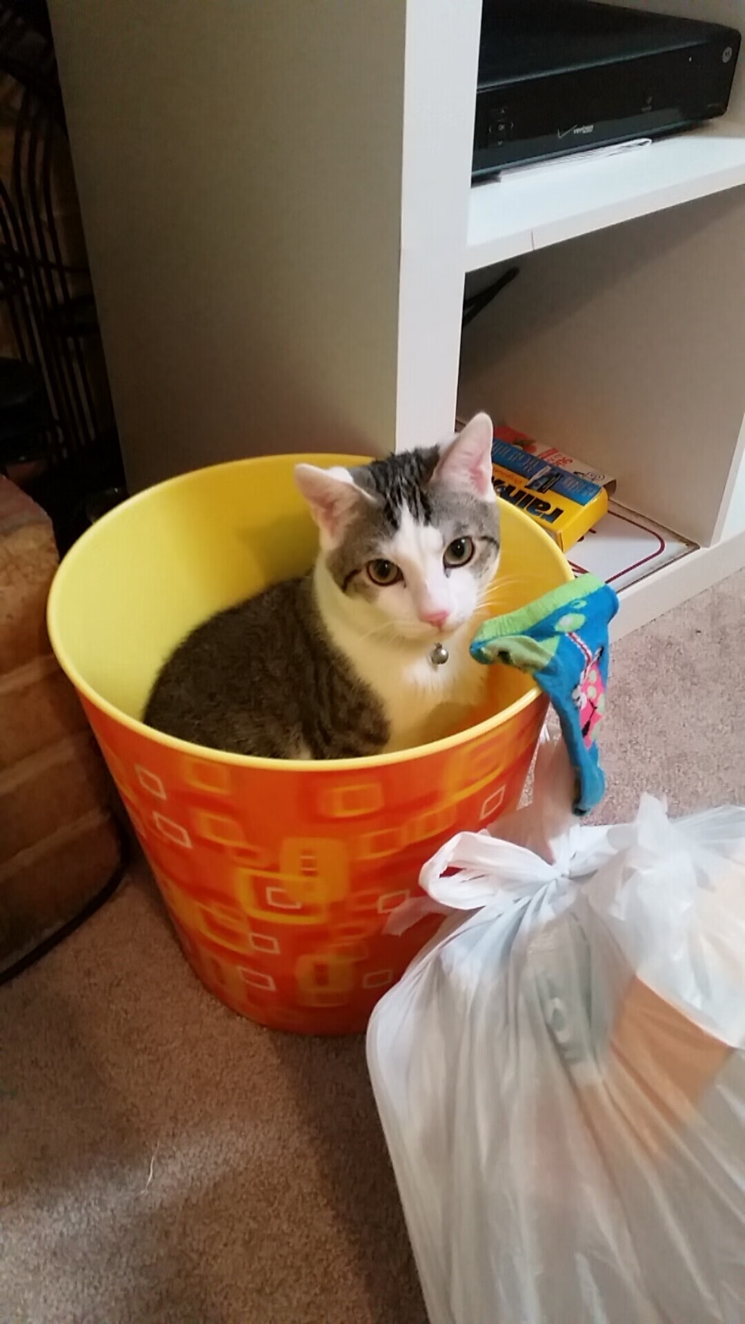 开云官网首页-“曼城阵容豪华，誓言捍卫欧冠荣耀”