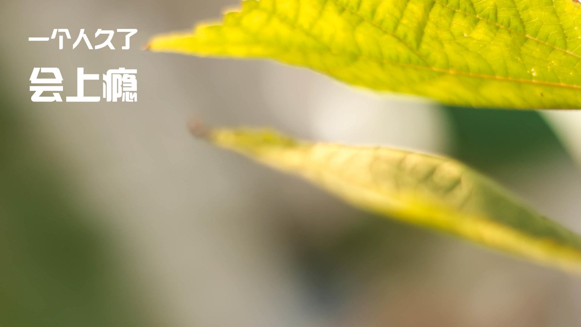 开云·体育官方网站入口-中国女排公开训练新阵容初现锋芒，中国女排训练赛